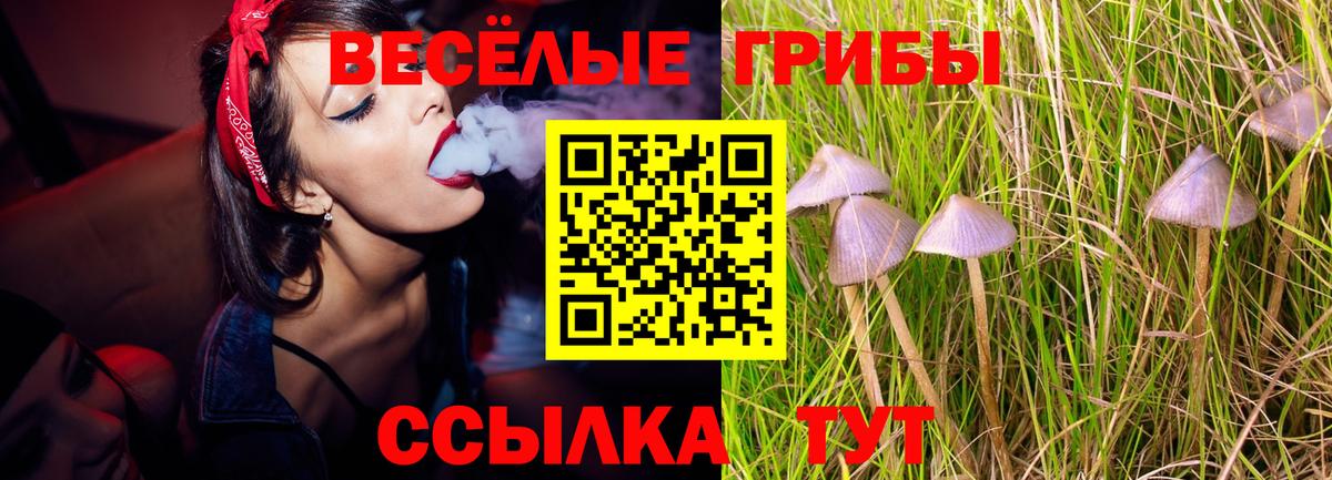 закладка  Вход с VPN  Псилоцибиновые грибы Psilocybine cubensis  Унеча  Галлюциногенные грибы ЛСД 
